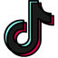 Tiktok Logo